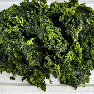 ULVA LACTUCA (Laitue de mer) 100% pure séchée - Sacs de 25 kg prêts à l'emploi - Fournisseur fiable du Vietnam - Product Image 2