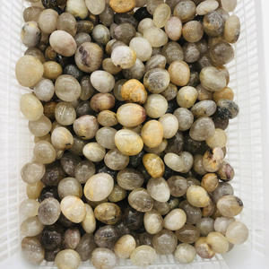 Vente en gros de pierres roulées en quartz rutile doré naturel de haute qualité, cristal de guérison, pierre précieuse roulée pour bijoux - Product Image 1