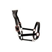 Harnais de polo en cuir de vache argentin, style selle anglaise, traditionnel, cousu à la main, couleurs personnalisées, logo personnalisé, OEM ODM