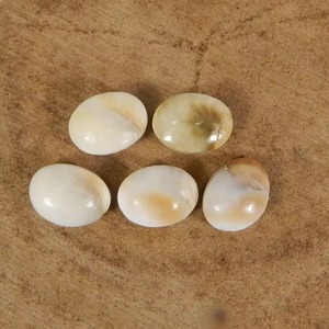 Pierre précieuse naturelle en coquille d'œil de Shiva blanche, cabochon ovale 16x12mm, qualité AA, pour monture de bijoux - Product Image 4