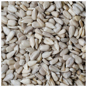 Graines de tournesol biologiques de haute qualité en gros - Product Image 5