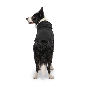 Dog Sweatshirt with Fleece Blend Custom <b>Clothes</b> Small Medium Large Cute Comfortable Warm Durable Cozy Trendy - Product Image 2