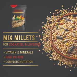 Mezcla de Semillas Orgánicas Premium para Aves, Multigrano Natural, Alto en Proteínas, Alimento para Reforzar el Sistema Inmunológico para Loros, Canarios, Periquitos y Cacatúas - Product Image 4