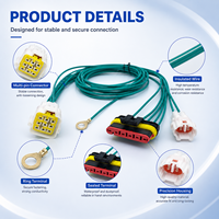 Harness Kabel Elektronik Tahan Air PBT Kustom Bersertifikasi Weisheng IATF16949 5P 9P IP67 DJ7026-2-11/21
