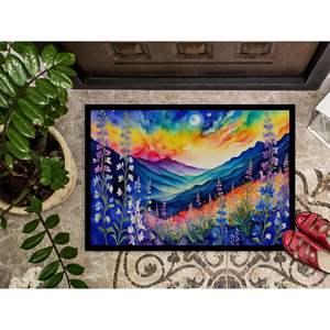 Delphinium Paillasson intérieur/extérieur antidérapant coloré 24H X 36W Tapis de porte avant lavable à poils bas pour entrée - Product Image 3