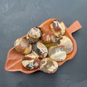 Piedra de Palma de Madera Petrificada Natural Premium 45x35x15 mm – Piedra Decorativa Pulida para Colección y Exhibición - Product Image 2