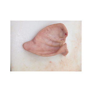 หูหมูแช่แข็งขายส่ง ราคาถูก รับประกันความสดใหม่ - Product Image 6