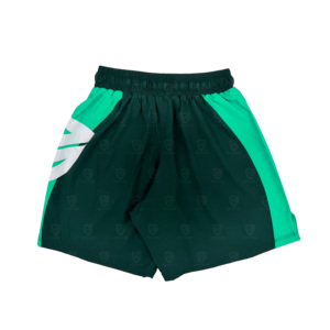 Shorts de combat MMA nouvelle conception, marque privée, légers, en vente en ligne. - Product Image 2