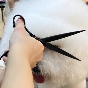 กรรไกรตัดขนสัตว์เลี้ยงสแตนเลสตรงขนาด7นิ้วแบบมืออาชีพพับเก็บได้พกพาสะดวกสำหรับสัตว์เลี้ยงขนาดเล็กร้านเสริมสวยใช้อย่างปลอดภัย - Product Image 5