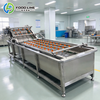 Voedselverwerkingsmachine met belletjeswasmachine en luchtbellenreinigingsmachine voor gebruik in de fruit- en groentelijn