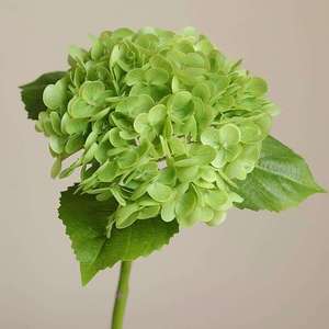 Offerta Speciale: Fiori Artificiali <span class=keywords><strong>di</strong></span> Ortensia Realistici al Tatto, Verdi e Bianchi in Lattice per Matrimoni e Decorazioni Domestiche per San Valentino - Product Image 5
