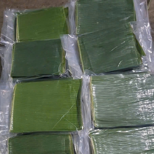 Feuilles de bananier du Vietnam en gros pour les marchés asiatiques professionnels et l'amélioration des profils de saveur des aliments par 99 Gold Data - Product Image 4