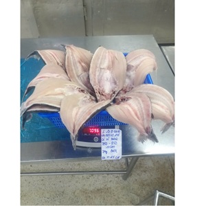 Filet de Pangasius surgelé IQF, style papillon, faible teneur en glucides, couleur naturelle, qualité export, tailles 20-35, avec/sans peau, origine Vietnam, marque VH Food - Product Image 6