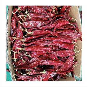 Piments rouges séchés entiers, forme longue, épice premium, assaisonnement naturel séché au soleil - Product Image 1