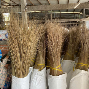 มะพร้าวแท่งพรีเมียมจากเวียดนาม สำหรับตกแต่งขนมหวานระดับกูร์เมต์ และใช้ในบุฟเฟ่ต์ผลไม้เพื่อสุขภาพ โดย 99 โกลด์ ดาต้า - Product Image 2