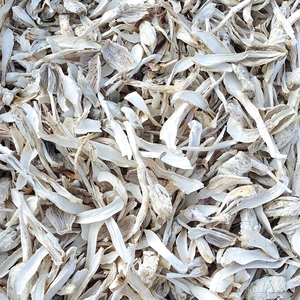 Suplemento Alimenticio de Hongo <span class=keywords><strong>Coprinus</strong></span> Comatus Seco - Product Image 2