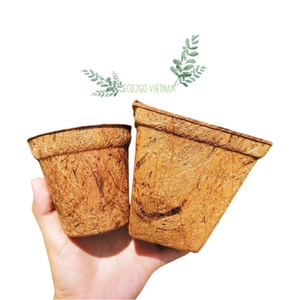 Maceta de Fibra de Coco para Plantas Verdes de Jardín - Macetas Biodegradables y Ecológicas de Coco de Eco2go Vietnam - Product Image 5