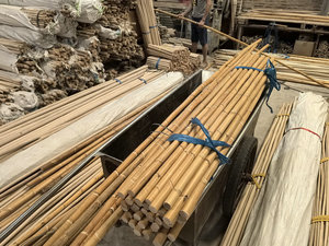 Natural Rattan Sticks Canes & <b>Poles</b> (50-500cm)-Traditional Round Design for Plant Training & Garden Furniture - Product Image 6