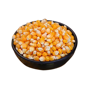 Suministro al por Mayor de Palomitas de Maíz de Primera Calidad, Grado Alimenticio, Disponibilidad Inmediata, Mejor Calidad, Servicio OEM, Fabricante - Product Image 2