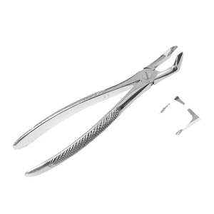 Instrumentos Quirúrgicos Dentales Manuales para Niños - Pinzas de Extracción de Molares Superiores Reutilizables de Acero Inoxidable CE - Product Image 5