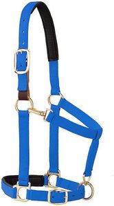 ODM Weaver Equine Breakaway Horse Halter, Comfort <b>Foam</b> <b>Padding</b>, Adjustable Chin & Throat Snap Halters for Horses, Equine - Product Image 2