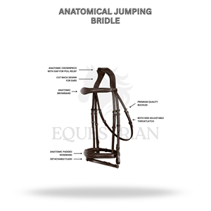 Bridon d'obstacle anatomique taille standard pour l'équitation anglaise et le saut d'obstacles - Product Image 2