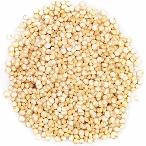Semillas de Quinoa Blancas Naturales con Rico Valor Nutricional y Textura Suave, Ideales para Recetas Saludables Modernas y Dietas Equilibradas - Product Image 3