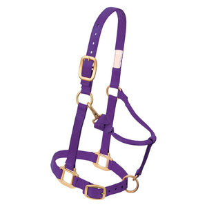 Harnais de cheval en nylon bleu avec quincaillerie en laiton, ajustement réglable pour usage équestre - Product Image 4