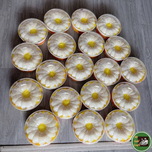 Nido de Pájaro Comestible Hecho con Material Natural de Nido de Golondrina Seco para Preparación de Sopas y Postres 99 Dold Data de Vietnam - Product Image 4