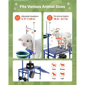 Support de traite robuste pour chèvres, capacité 600 lb, avec rampe pliable, roues pour bac à aliments et panier de traite réglable - Product Image 5