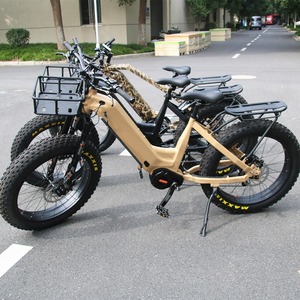 Vélo électrique Leili 2024 de haute qualité, 26 pouces, 48V 1000W, moteur central, cadre bas, pneus larges, batterie grande capacité 30Ah, vélo de montagne électrique - Product Image 3