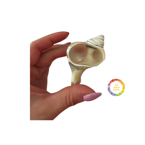 Servilleteros de concha de mar hechos a mano exclusivos para restaurantes de lujo, cruceros y eventos de boda Royal Decor Shell Vietnam - Product Image 2