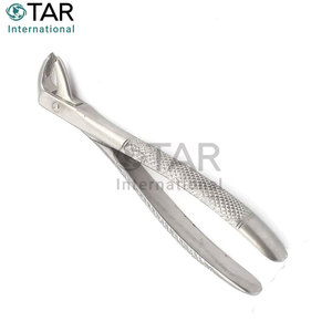 Pinces d'extraction de haute qualité # 73 instruments dentaires médicaux en acier inoxydable de qualité supérieure, modèle anglais, pour extraction dentaire et soins bucco-dentaires - Product Image 3