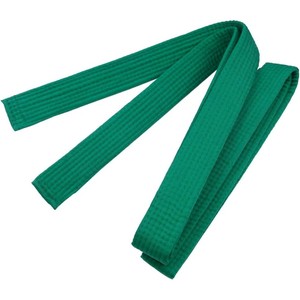 2026 Double Wrap 4cm Thickness Karate Taekwondo Judo Belt Custom Logo Print Solid Rank Martial Arts Instructed by - Product Image 2