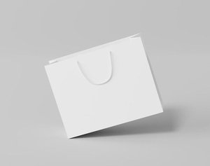 Sac cadeau élégant en papier écologique avec poignée en corde torsadée, sac cadeau décoratif en papier, solutions d'emballage de marque, fournisseur en gros 2026 - Product Image 1