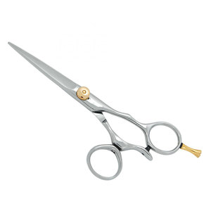 Ciseaux de Barbier Professionnels en Acier Inoxydable Argent et Or pour Coiffure, Ciseaux de Coupe de Cheveux Affûtés pour Salon, Droitiers, Taille Moyenne - Product Image 1