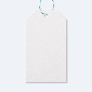 Etiquetas de Regalo Ecológicas Plantables para Empaque, Etiquetas Impresas Personalizadas con Cuerda de Yute, Etiquetas de Regalo con Cuerdas de Hilo - Product Image 1
