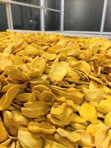 Jackfruit séché naturel de qualité supérieure, texture croustillante, fruit tropical sucré, collation, vente en gros, approvisionnement en vrac, marchés de détail internationaux - Product Image 4