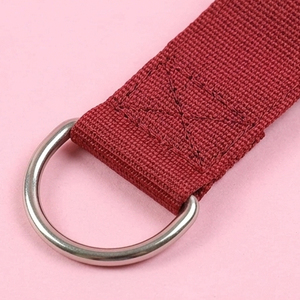 Correas de tobillo con purpurina para máquinas de cable, para ejercicios de piernas, correas de tobillo con purpurina ajustables con anillo en D, soporte para el pie, correas de gimnasio para piernas - Product Image 2