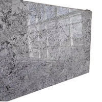 Meilleur prix d'Inde, dalles de granit blanc Alaska de qualité supérieure, comptoirs modernes, haute résistance, garantie de 2 ans, surface polie