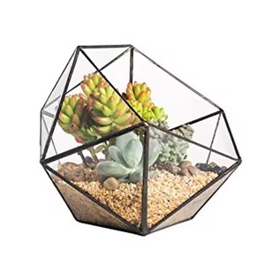 Elegant Geometric Metal Terrarium Glass Plant Holder Indoor Garden <b>Display</b> <b>Case</b> Home Interior Decoration Accent - Product Image 6