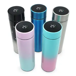 Tùy Chỉnh Tumbler 500Ml Termos De Agua Phòng Tập Thể Dục Chai Nước Không Oxy Hóa Chai Nước Bằng Thép Không Gỉ Với Nhiệt Độ Hiển Thị