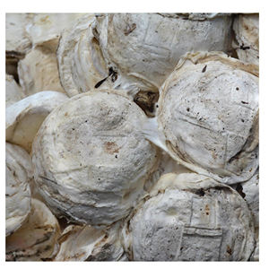 Grumos de caucho natural a granel para plantas de procesamiento químico y compuesto de caucho - Product Image 2