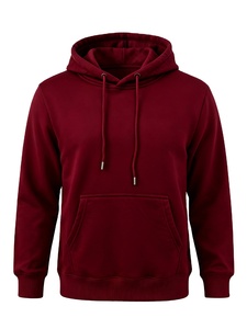 Pull à capuche d'hiver très populaire pour homme, coupe classique, brodé, doublure polaire polyester/coton, écologique, OEM - Product Image 3