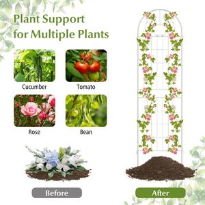 Treillis de jardin en métal pour plantes grimpantes, lot de 4, 71 x 20 pouces, support robuste pour vigne et fleurs - Product Image 5