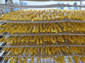 High <b>Quality</b> 1kg Sugar-Free FD Dried Sliced Mango Water Bulk Snacks Bit <b>Sweet</b> HACCP/ISO Vietnam - Product Image 2