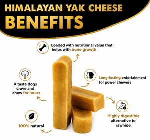 Masticables Premium de Yak del Himalaya para Perros, Golosinas de Queso Duro con Leche Natural de Yak y Leche de Vaca, Alto Contenido de Proteínas y Calcio, Soporte de Fabricante OEM - Product Image 3