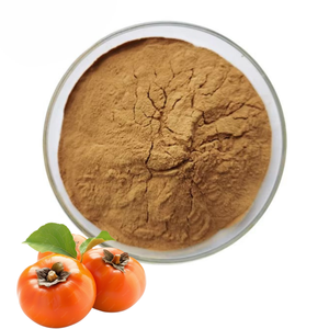 Extracto de Caqui Molido Fino 10:1 en Polvo, Extracto de Fruta Cuidadosamente Preparado, Extracto de Caqui 10:1 en Polvo con Textura Consistente - Product Image 4