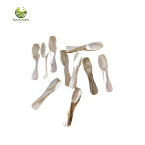 Bulk Mother of Pearl Caviar <b>Coffee</b> <b>Spoon</b> Small Shell Classic Luxury Business Gifts Salt Spice Dessert Eco-Friendly Wholesale - Product Image 4