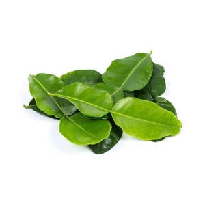 Hojas de Limón Secas |   Calidad Premium |   Exportación al por Mayor de Vietnam - Product Image 3